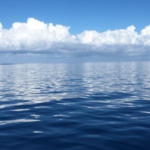 Meet your Posher, Edward